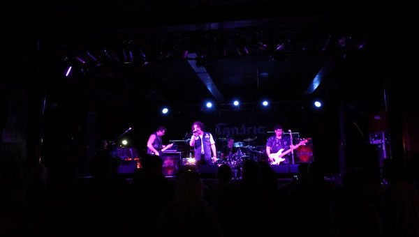 Julian Simonelli - Bassist