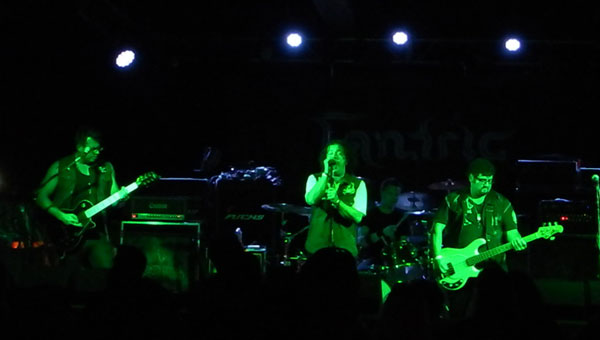 Julian Simonelli - Bassist