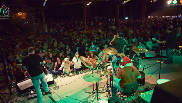 Julian Simonelli - Bassist