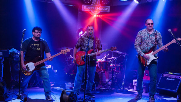 Julian Simonelli - Bassist