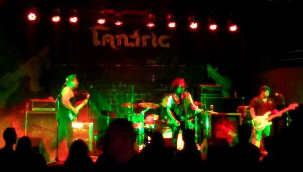 Julian Simonelli - Bassist