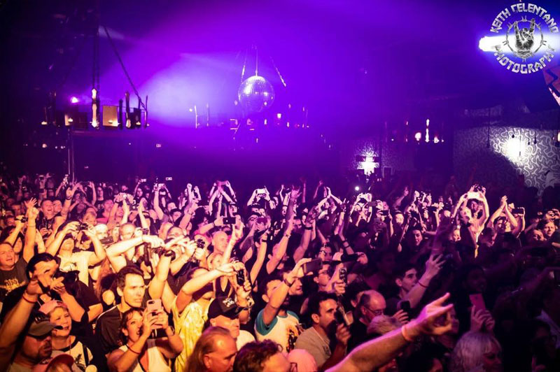 Julian Simonelli - Bassist