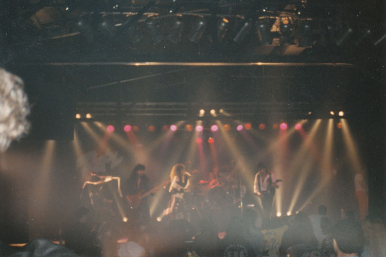 Julian Simonelli - Bassist